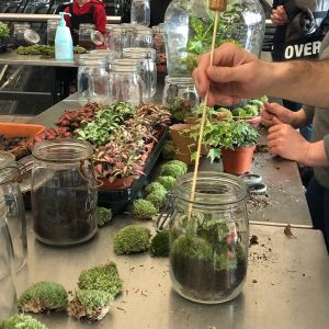 Atelier création de terrarium {Les "OFF" du Hameau}